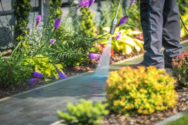 Best Pool Deck Cleaning  in Inwood, WV